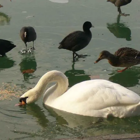 Apartman In - Balaton 38420 Siófok